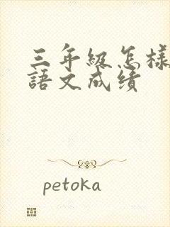 三年级怎样提高语文成绩