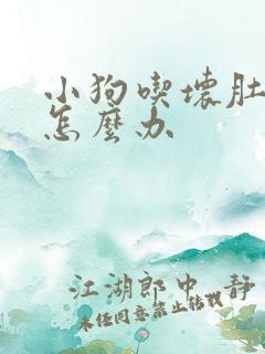 小狗吃坏肚子了怎么办