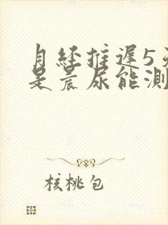 月经推迟5天不是晨尿能测出怀孕吗