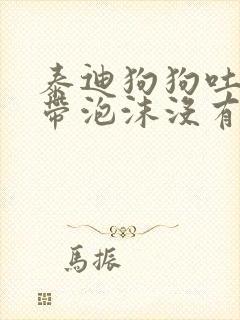 泰迪狗狗吐黄水带泡沫没有拉肚子精神走路