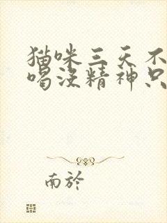 猫咪三天不吃不喝没精神只趴着