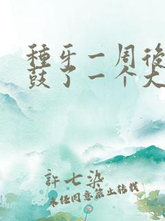 种牙一周后牙龈鼓了一个大包