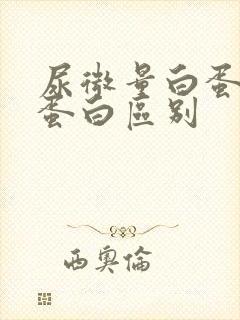 尿微量白蛋白尿蛋白区别