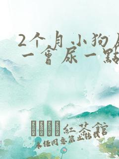 2个月小狗尿频一会尿一点