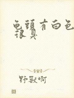 龟头有白色污垢 很臭