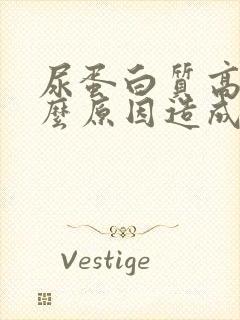 尿蛋白质高是什么原因造成的