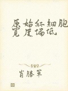 原始红细胞分布宽度偏低