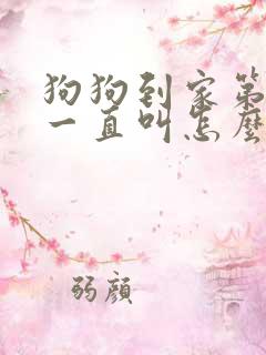 狗狗到家第一天一直叫怎么办