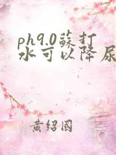 ph9.0苏打水可以降尿酸吗