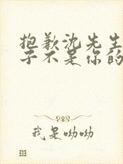 抱歉沈先生,孩子不是你的第5集