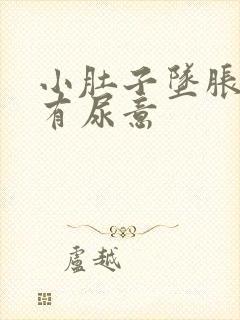 小肚子坠胀感觉有尿意