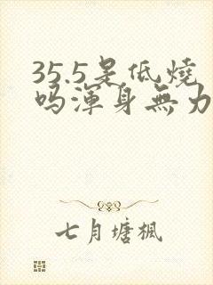 35.5是低烧吗浑身无力
