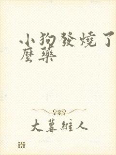 小狗发烧了吃什么药