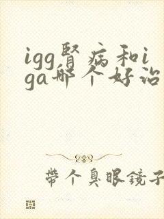 igg肾病和iga哪个好治疗