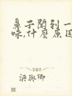 鼻子闻到一股怪味,什么原因引起