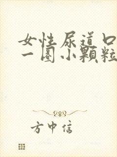 女性尿道口长了一圈小颗粒是什么