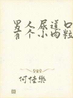 男人尿道口边上有个小肉粒