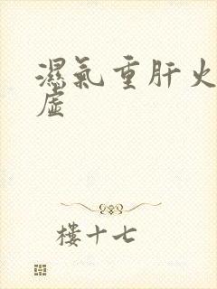 湿气重肝火旺脾虚