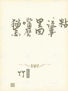 猫嘴里流粘液是怎么回事