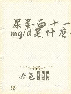 尿蛋白十一15mg/d是什么意思