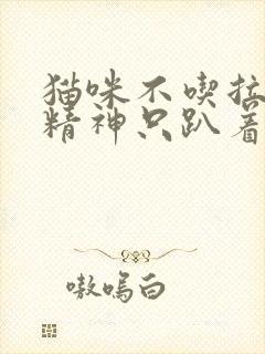 猫咪不吃拉稀没精神只趴着怎么办