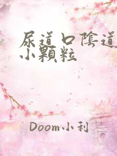 尿道口阴道口有小颗粒