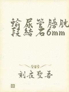 输尿管膀胱壁内段结石6mm