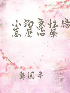 小狗急性肠胃炎怎么治疗