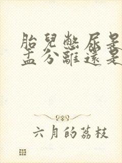 胎儿憋尿是双肾盂分离还是单肾盂分离