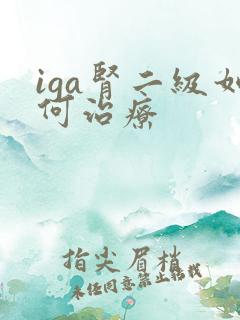 iga肾二级如何治疗