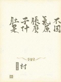 肚子胀气不排便是什么原因