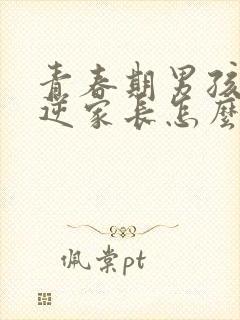 青春期男孩的叛逆家长怎么办