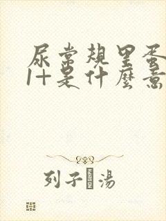 尿常规里蛋白质1+是什么意思