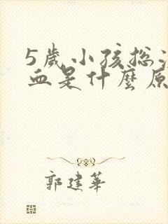 5岁小孩总流鼻血是什么原因