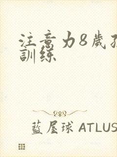 注意力8岁孩子训练