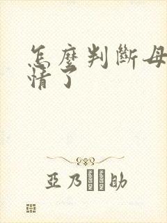 怎么判断母猫发情了