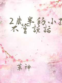 2岁半的小孩仍不会说话