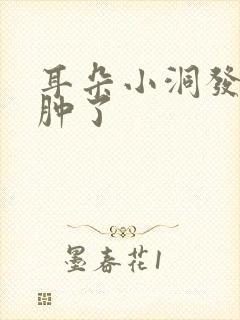 耳朵小洞发炎了肿了