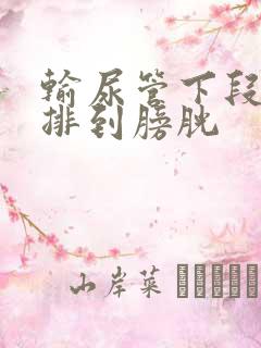 输尿管下段结石排到膀胱