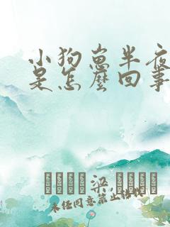 小狗崽半夜直叫是怎么回事儿?