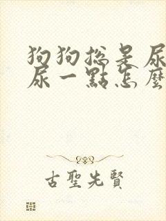 狗狗总是尿一点尿一点怎么办