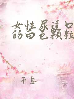 女性尿道口里面的白色颗粒状