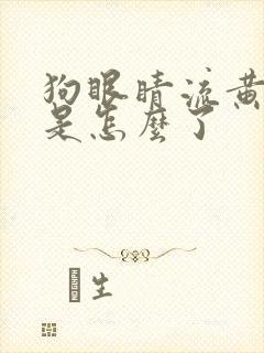 狗眼睛流黄粘液是怎么了