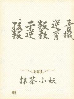 孩子叛逆青少年叛逆教育机构