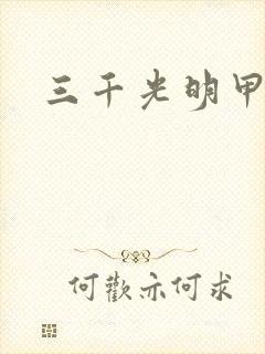 三千光明甲