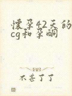 怀孕42天的hcg和孕酮