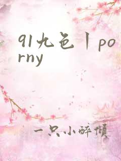 91九色丨porny