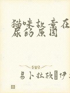 猫咪故意在床上尿的原因