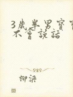 3岁半男宝宝还不会说话