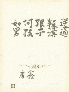 如何跟叛逆期的男孩子沟通